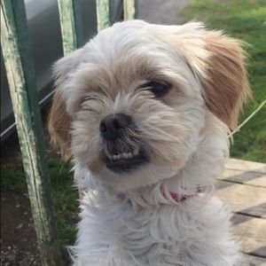 Meet your Posher, Mikella